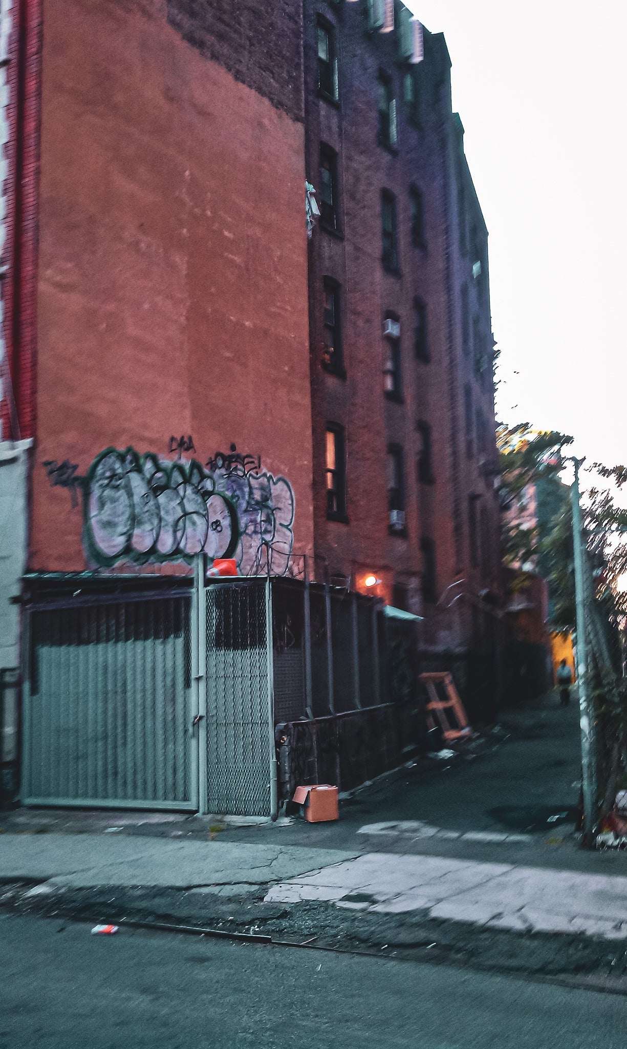 IMAG0040.jpg